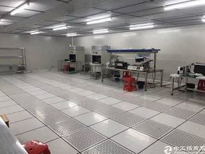 橋頭原房東塑膠電子廠 3000方空間，個人護理電器產業新機遇